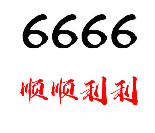 東明133開(kāi)頭尾號(hào)666手機(jī)靚號(hào)回收