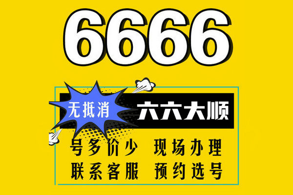 菏澤165開頭尾號6666吉祥號出售回收